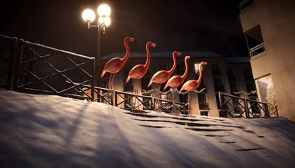 Les flamants roses savent faire de la luge - Joyeuses fêtes sur France 3