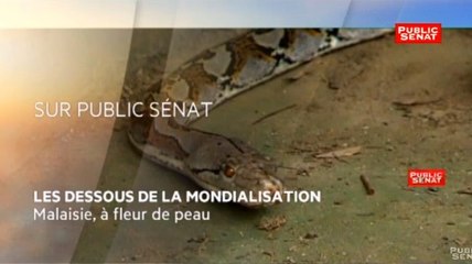 Les dessous de la mondialisation - Malaisie, à fleur de peau - La bande-annonce