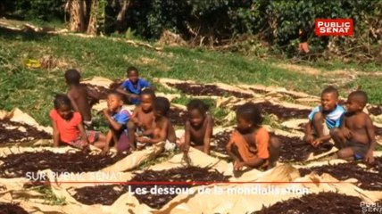 Les dessous de la mondialisation - Madagascar, une vanille chinoise - La bande-annonce