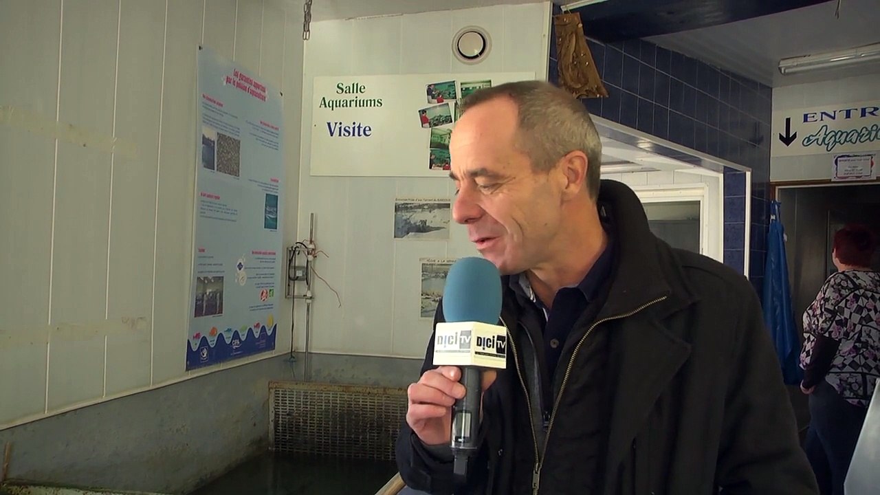 D!CI TV : Zoom sur la pisciculture de Châteauroux-les-Alpes