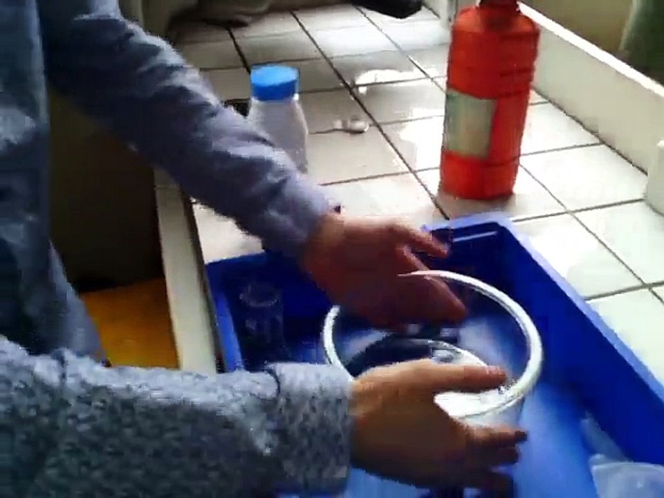 Tension superficielle du lait et des colorants #1