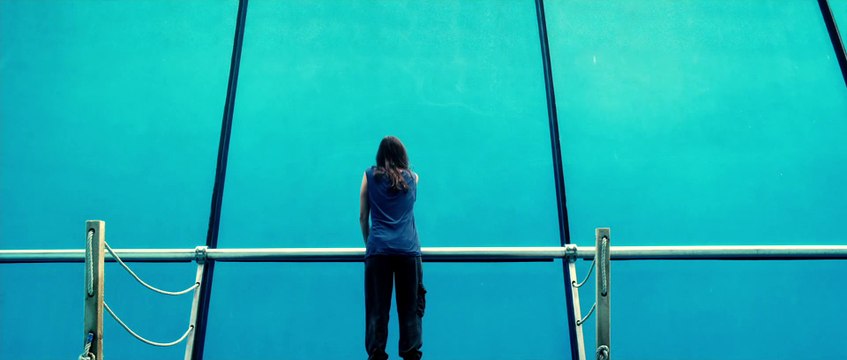 De Rouille et D'os (Rust And Bone / Pas ve Kemik) - Trailer [HD] Jacques Audiard, Marion Cotillard, Matthias Schoenaerts, Armand Verdure