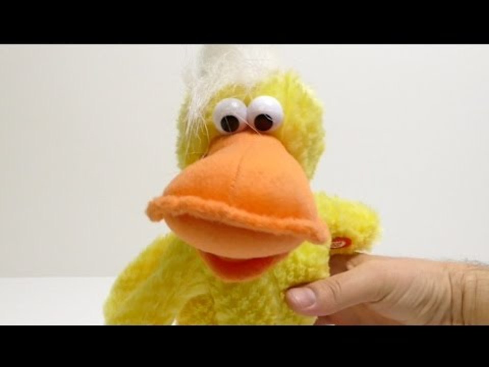 Talking Duck Toy - Sound Toy Review