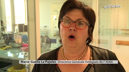 A Nantes, rencontre avec les vrais Experts