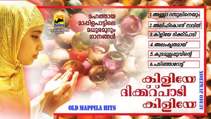 Mappila Pattukal Old Is Gold | Kiliye Dikr Padi Kiliye  | Malayalam Mappila Songs Jukebox