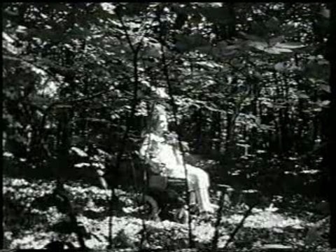 Champs D'Amour light