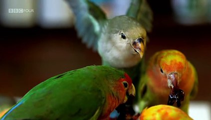 Documentary - What Do Artists Do All Day - Polly Morgan