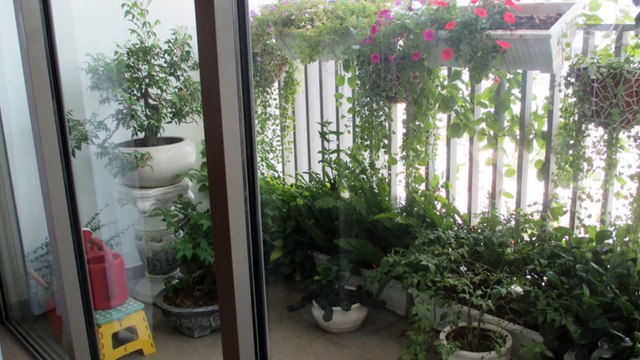 Apartment for rent in District 7, Ho Chi Minh City, Vietnam