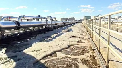 Materia fecal como fuente de energía