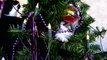 Cats Stuck in Christmas Trees - Funny Animals Channel