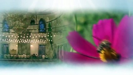 Dualarımız Nasıl Kabul Olur