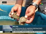 Bolivia: liberan miles de tortugas de río en la Amazonía