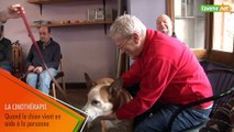 L'Avenir - Cinothérapie : quand le chien vient en aide à la personne déficiente