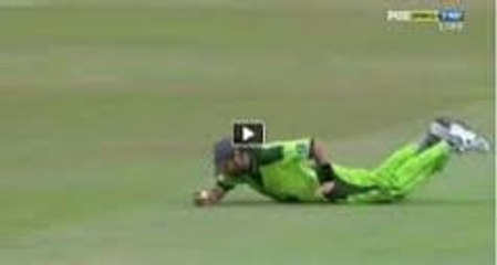 Shahid Afridi Top 3 Catches
