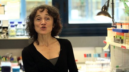 Airbus Group - Rut Carballido Lopez - jeune femme scientifique de l'année - prix Irène Joliot-Curie 2015