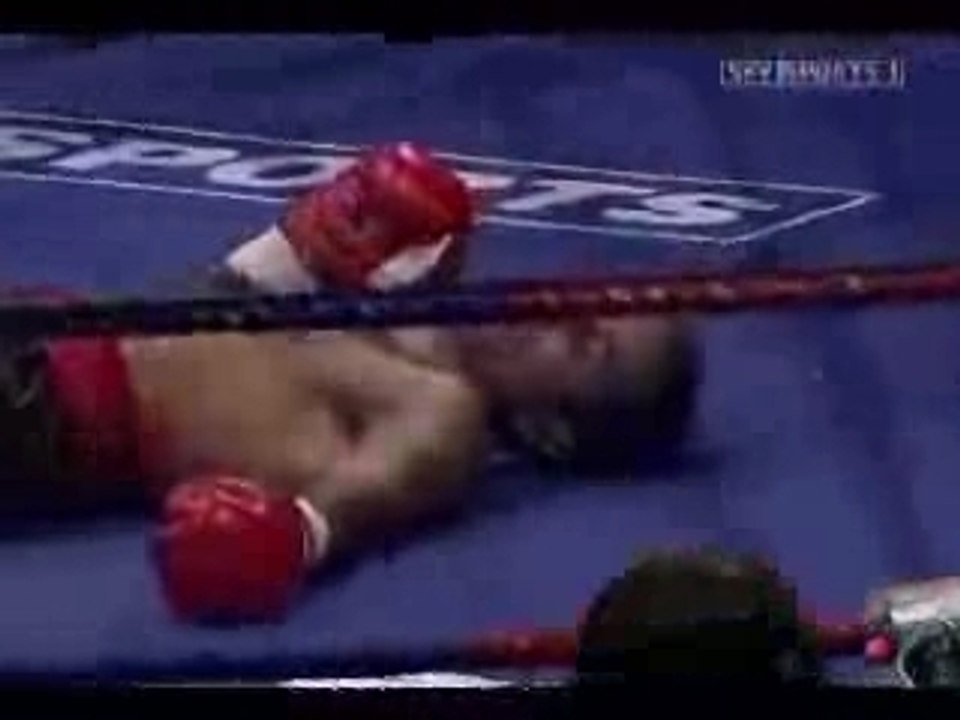l'art de la boxe