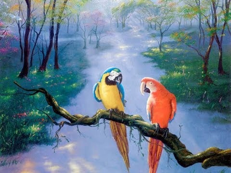 Parrots 3D Animation Malayalam Rhymes For children with lyrics