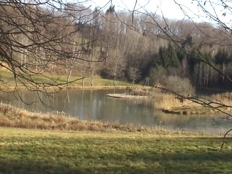 Flâneries autour du lac de Saint Sixte - Merlas 38620