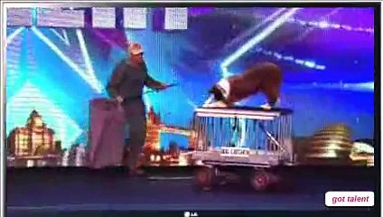 New 2016 Catch Jules and Matisse the dog in action - Britains Got T