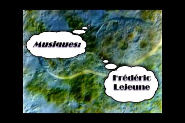 Une famille infra-terrestre rêvant de la Lune