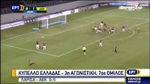 ΑΕΛ - ΑΕΚ 0-5 015-16 Κύπελλο ΕΡΤ3