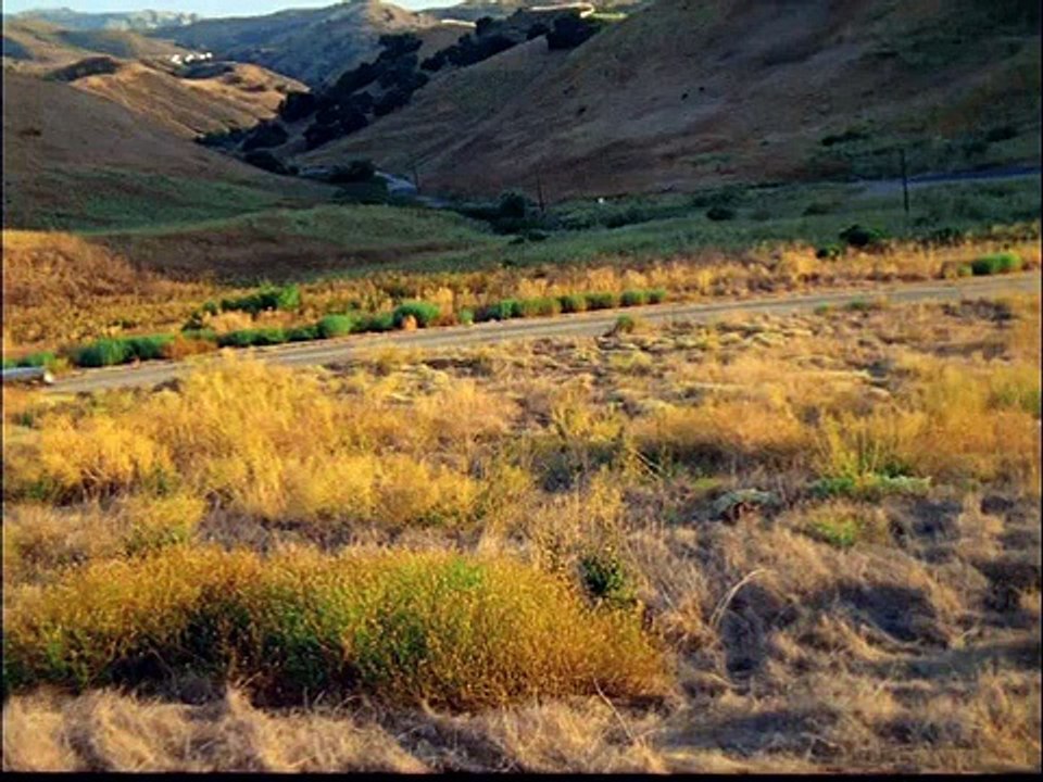 Stardust Music Sounds Better With You ( Official Music Video HD ) From GTA V Vidéo Dailymotion