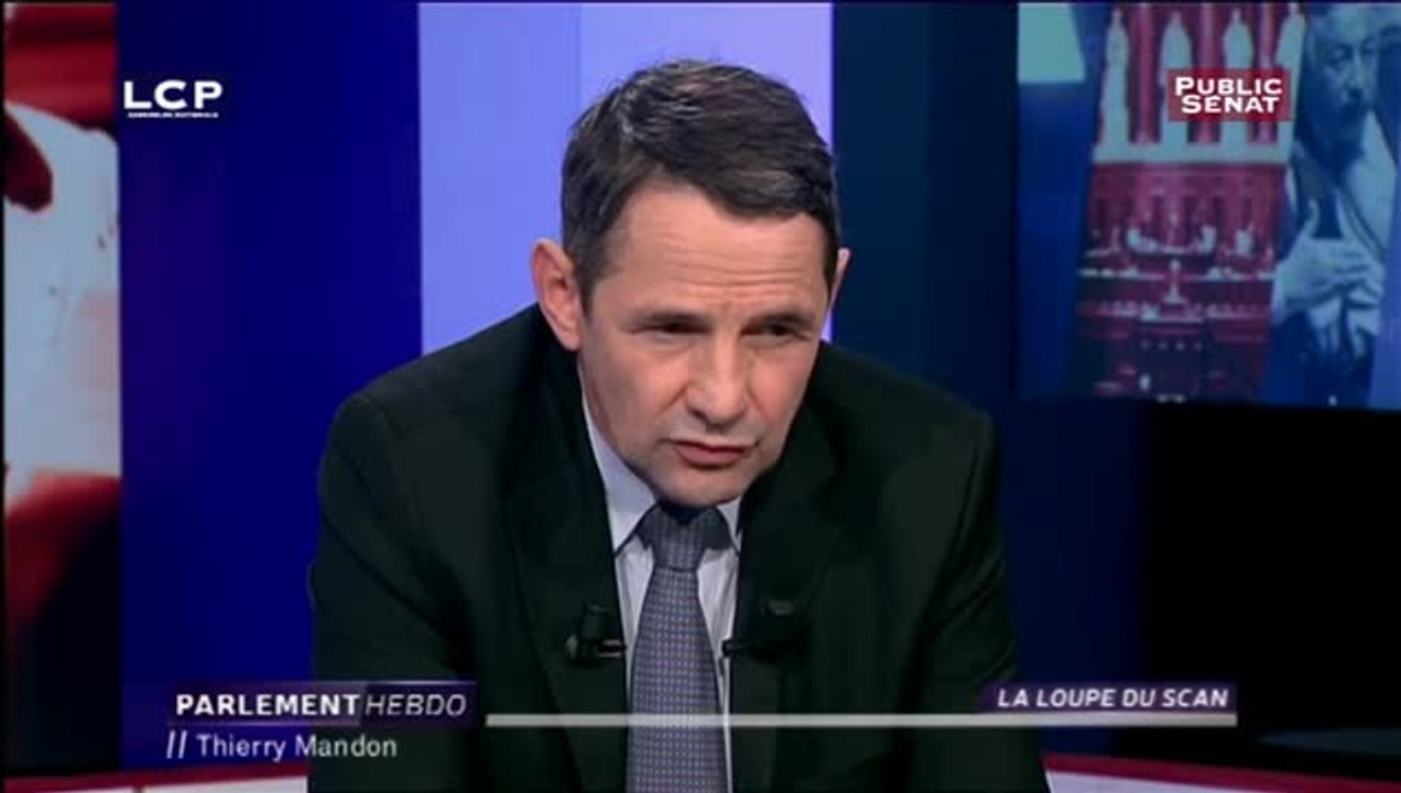 La Loupe du Scan - Thierry Mandon
