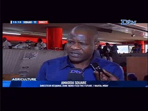 Autosuffisance en riz 2015: Les riziculteurs sénégalais optimistes