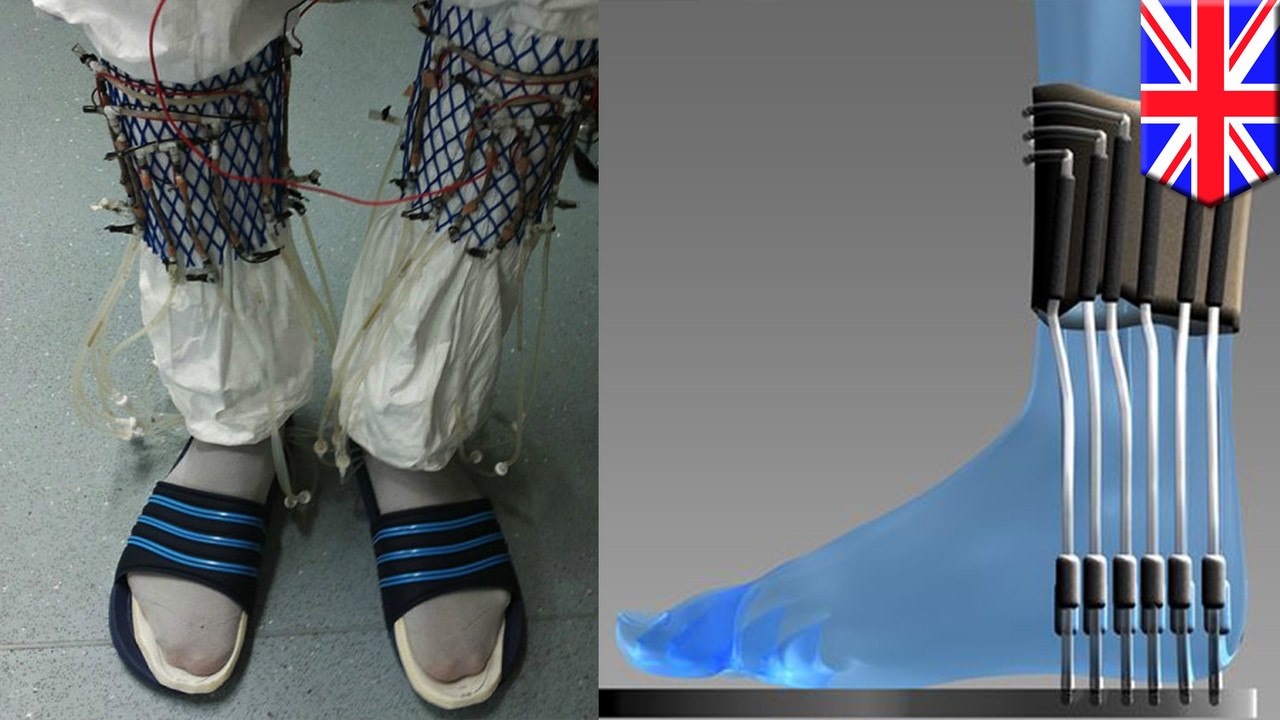 Future energy source? Urine-powered socks can create enough electricity to charge a wireless transmitter