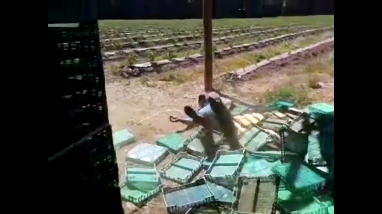 NEW The Best Fails of April 2015 | Part 1 Fail Compilation