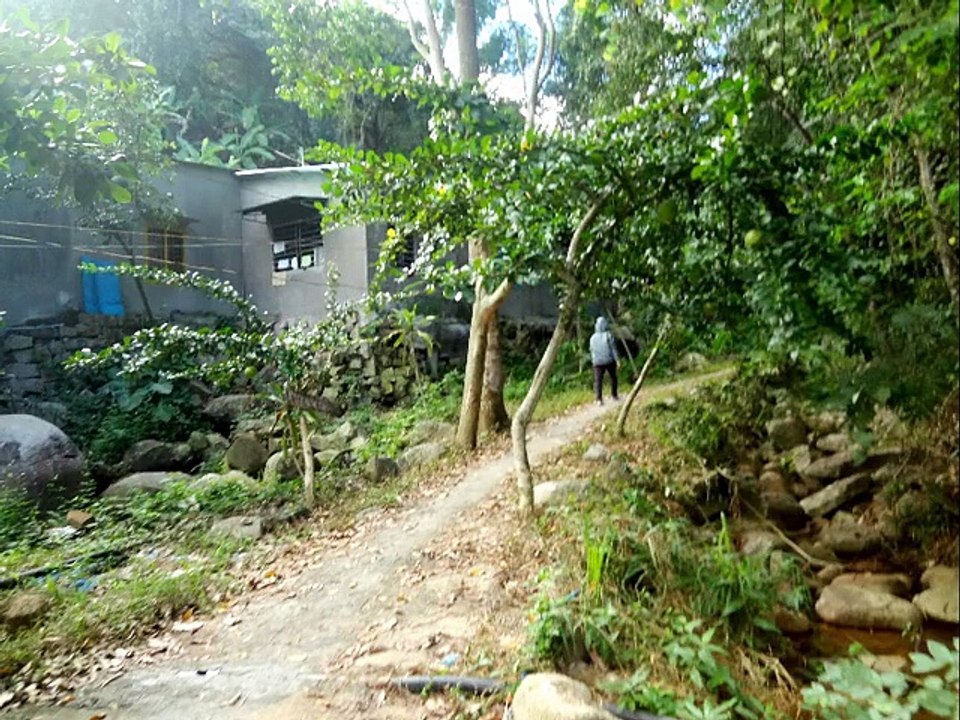 NÚI CHỨA CHAN