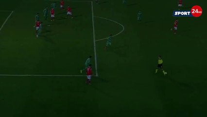 Perugia vs Livorno 2-1 Matteo Ardemagni Goal 18.12.2015 Full HD