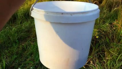 Как правильно варить и насаживать горох на крючок