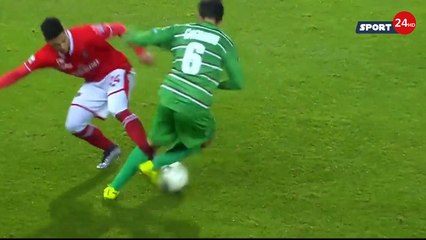 Perugia vs Livorno 0-1 Marco Moscati Goal 18.12.2015 Full HD