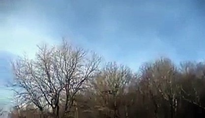 Eagle Tried to Snatch Child