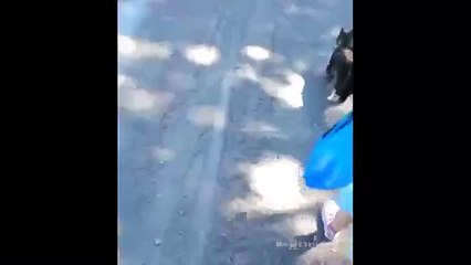 С этой кошкой ничего не страшно )