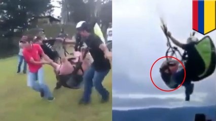 Paragliding pig video draws laughter, angers animal activists