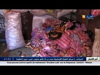 جزائريون - جمع الخبز.. مهنة تجمح بين المتعة و كسب قوت الحلال