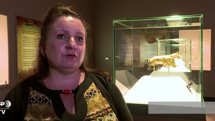 Culture war brews over S.African golden rhino figurine