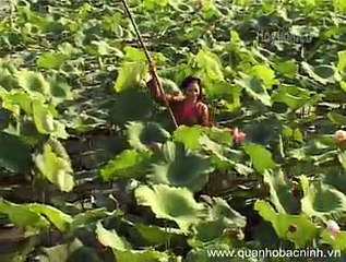 Ai xuôi về - NSND Thúy Hường - Quan họ Bắc Ninh