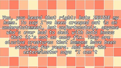 What I Learned About Digital Marketing From Having Bats In My Home