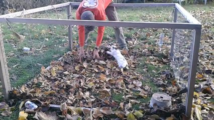 A Bunny Plays In The Leaves For The First Time. The Result? Instant Cuteness!