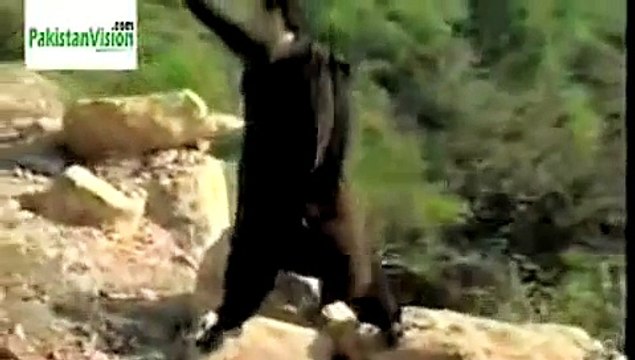 Tere Rang Rang- Abrar ul haq