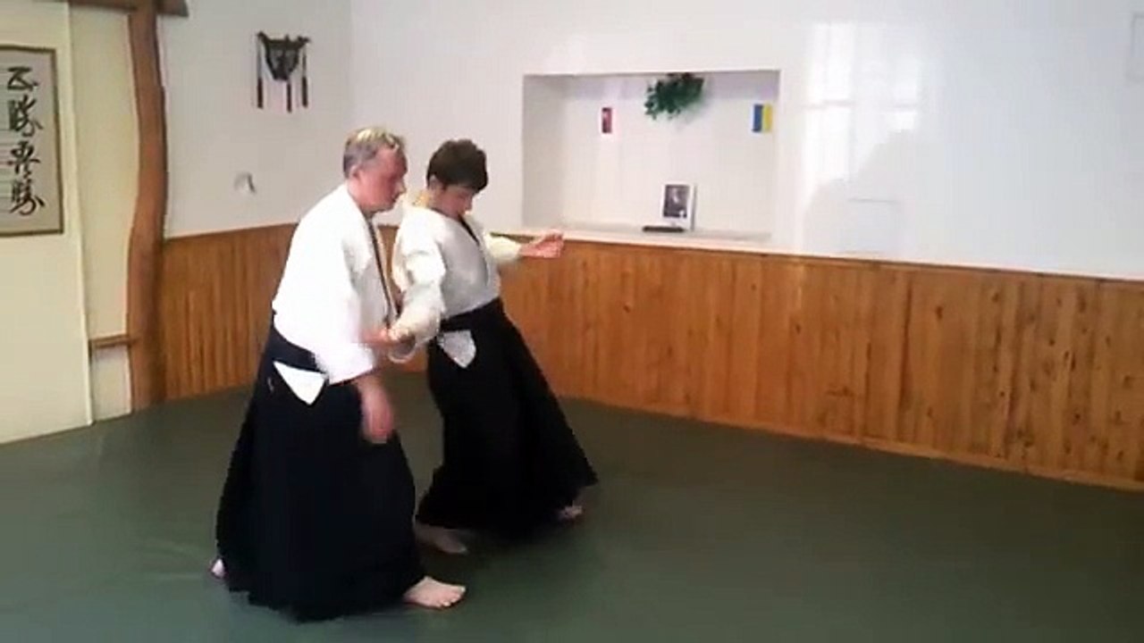 Tutorial de Aikido