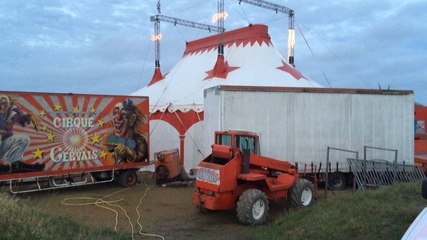 Maouzy nouvelle petite lionne du cirque Gervais