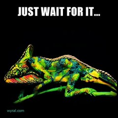 Just wait for it Amazing Creativity