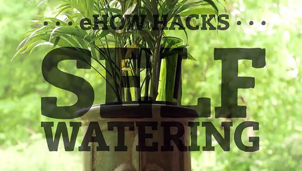 Make a Self-Watering Planter With an Empty Wine Bottle