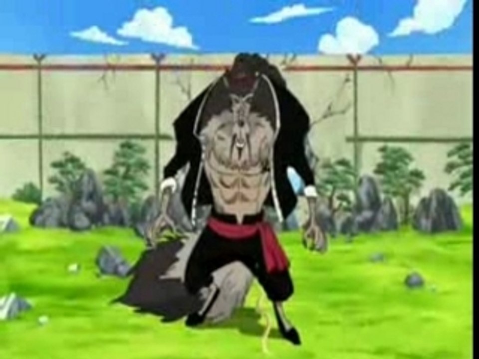 Amv one piece equipag du chapo de paille