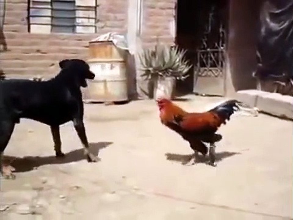 Bravo !!!!
