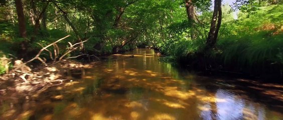 Ciron, l'or des sables